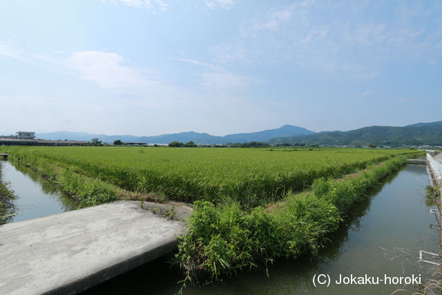 阿波 川崎城(大麻町)の写真