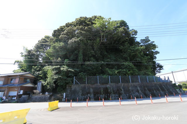 阿波 岡山城の写真