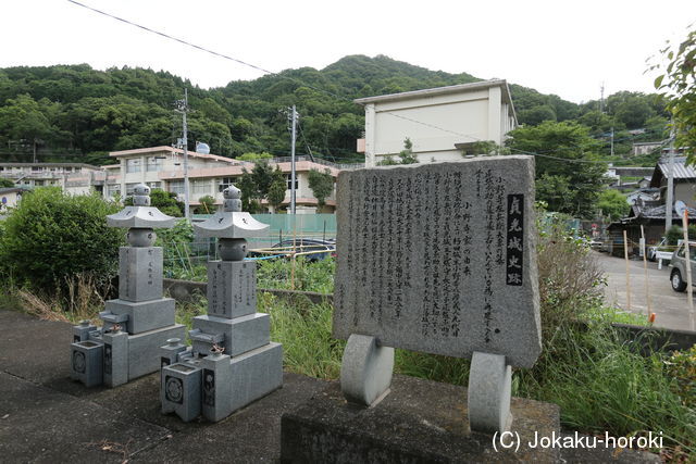 阿波 貞光城の写真