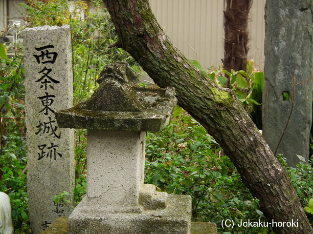 阿波 西条東城の写真