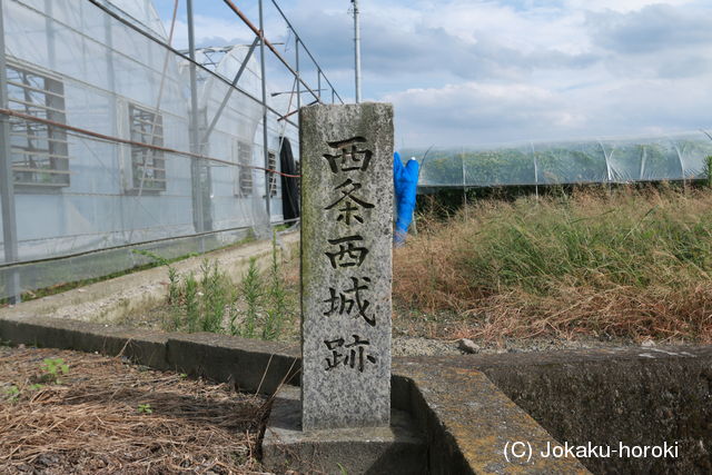 阿波 西条西城の写真