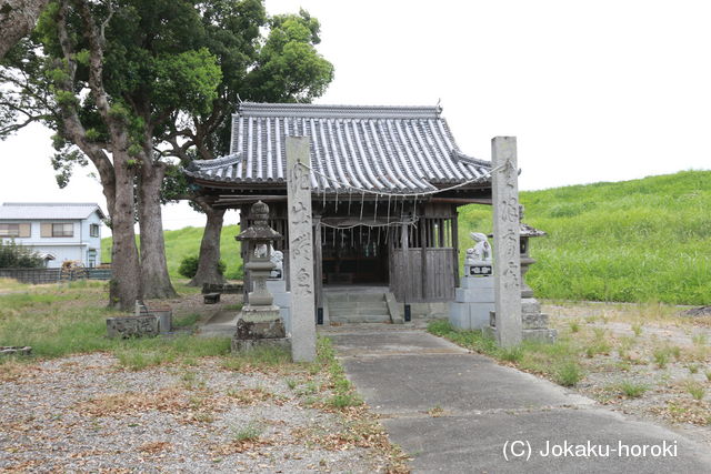 阿波 佐野須賀城の写真