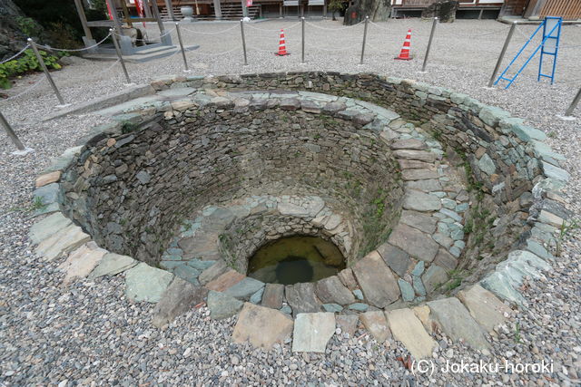 阿波 芝原城の写真