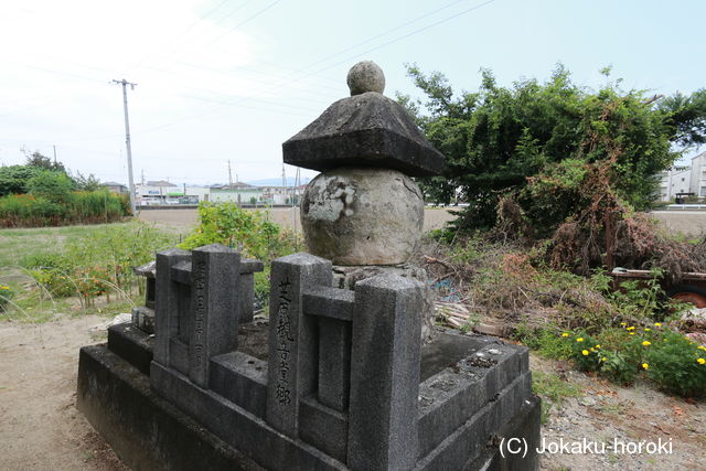 阿波 芝原西城の写真