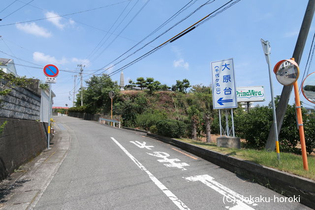 阿波 芝山城の写真