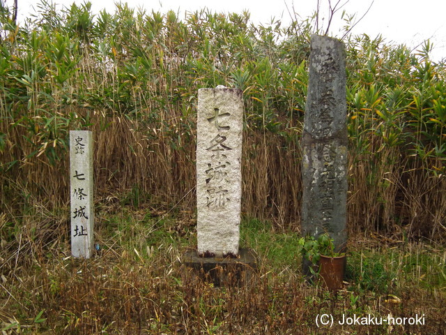 阿波 七条城の写真