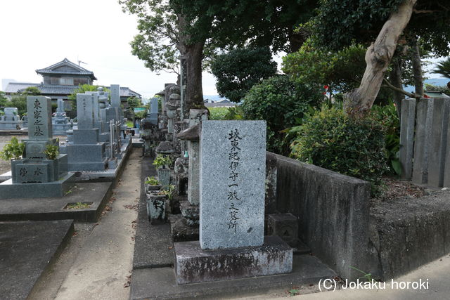 阿波 椎本城の写真