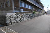 阿波 松鶴城の写真