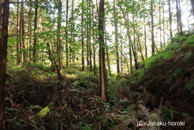 阿波 太鼓山城の写真