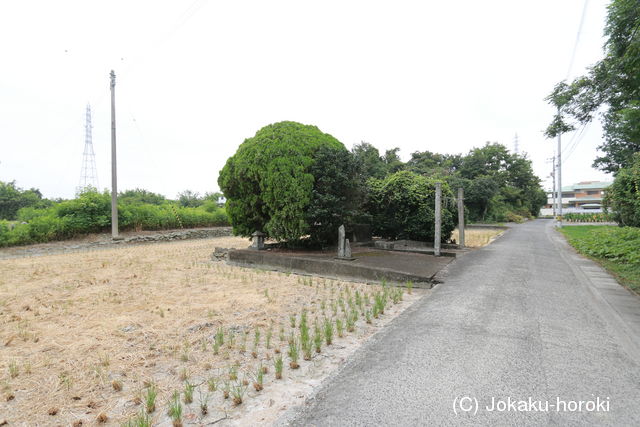阿波 田村屋敷の写真