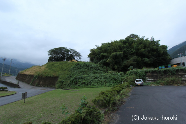 阿波 田ノ岡城の写真