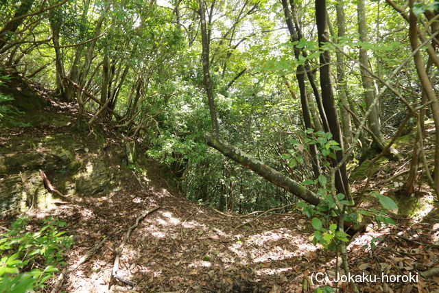 阿波 天神城(池田町)の写真