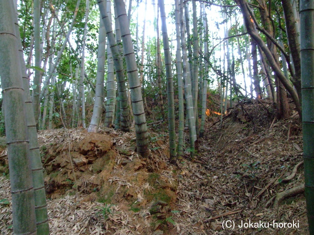 阿波 徳里城の写真