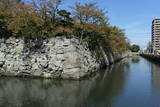 阿波 徳島城の写真