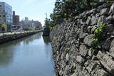 阿波 徳島城の写真