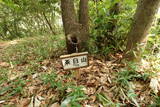 阿波 鳥坂城の写真