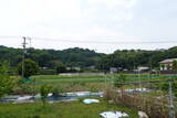 阿波 鳥坂城の写真