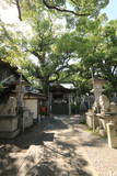 阿波 津田城の写真