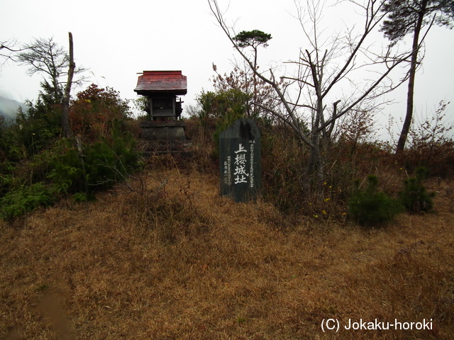 阿波 上桜城の写真