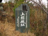 阿波 上桜城の写真