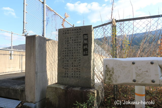 阿波 馬路城の写真