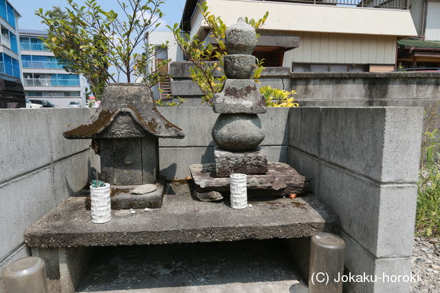 阿波 和田城の写真