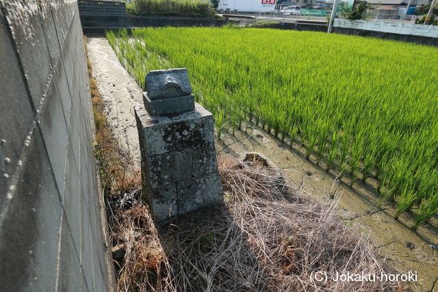 阿波 矢上城の写真