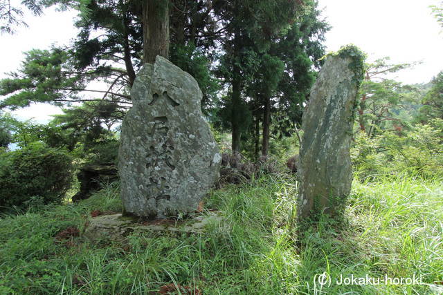 阿波 八石城の写真