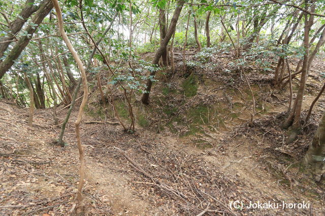 阿波 吉野城の写真