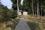 阿波 吉野城の写真