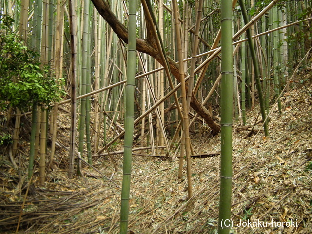 淡路 郡家城の写真