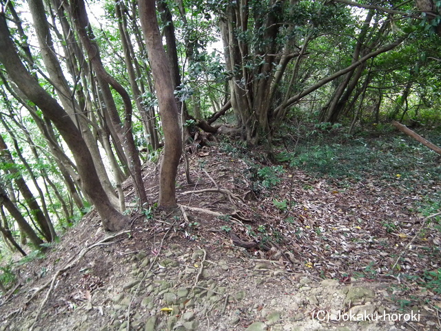 淡路 勝間城の写真