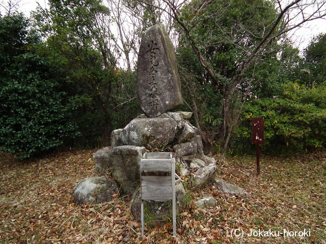 淡路 白巣城の写真