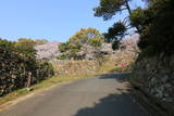 淡路 洲本城の写真