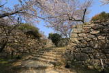 淡路 洲本城の写真