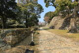 淡路 洲本城の写真