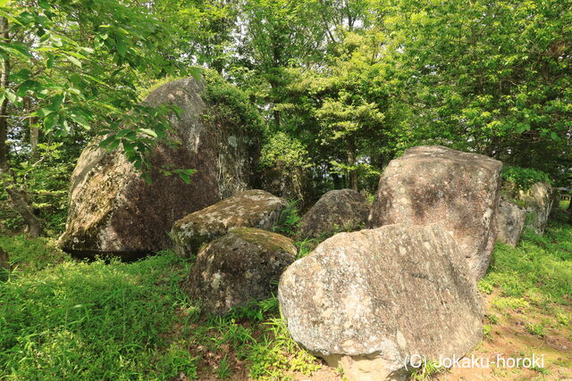 備中 阿部深山城の写真