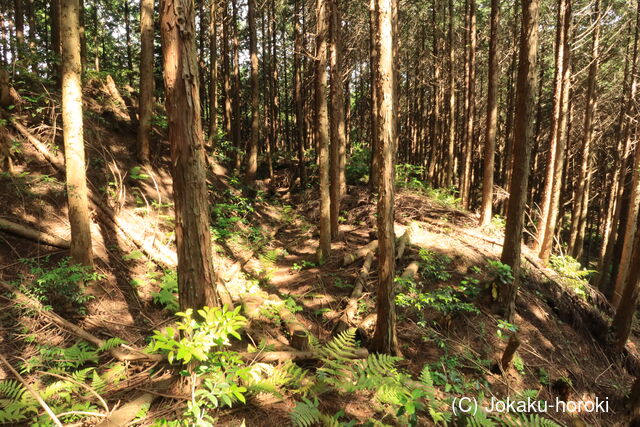 備中 円通山城の写真