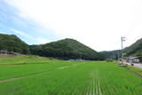 備中 藤沢城(田土)の写真