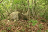 備中 藤沢城(田土)の写真