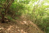 備中 藤沢城(田土)の写真