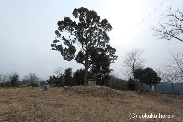 備中 伽藍山城の写真