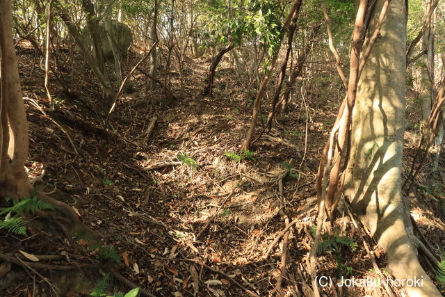 備中 伽藍山城(南砦)の写真