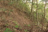 備中 伽藍山城(南砦)の写真