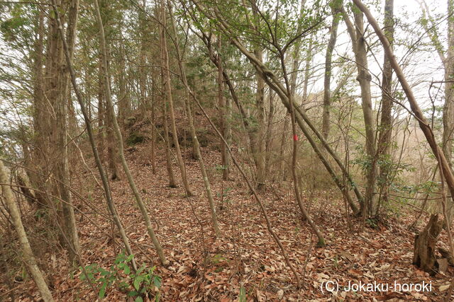 備中 要害山城(総社市)の写真