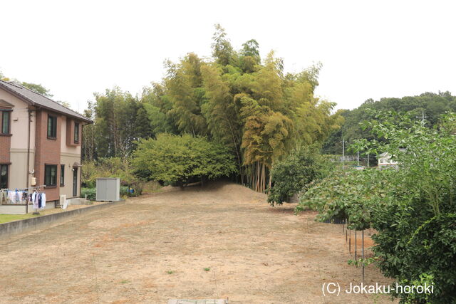 備中 頓宮又次郎入道の館の写真