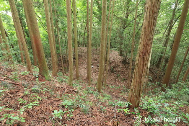 備中 石蟹山城の写真