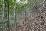 備中 鍛冶山城の写真