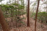 備中 鍛冶山城の写真