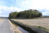 備中 亀山城の写真